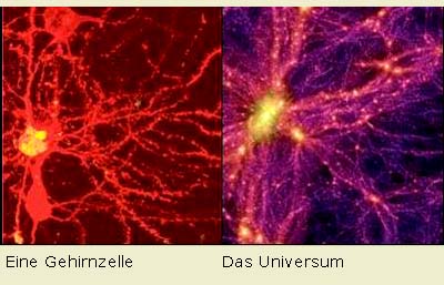 Gehirnzelle_Universum
